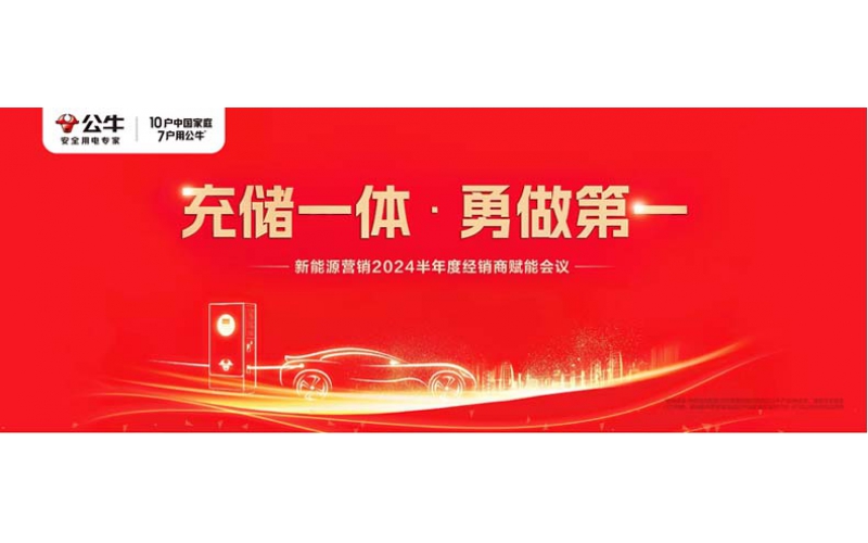 新能源營銷2024半年度經銷商賦能會議